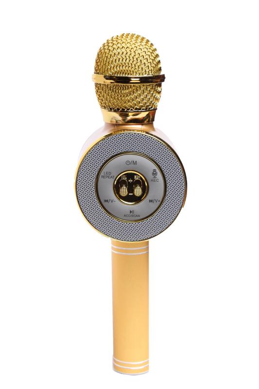 Караоке микрофон WS-668 кл&quot;В&quot; с динамиками (Bluetooth, USB, micro USB, AUX, mic, FM)  (Золотой)